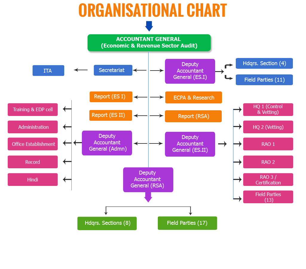 Cag Organisation Chart